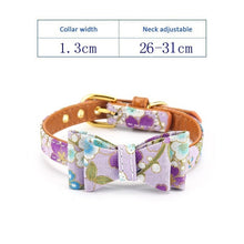 Load image into Gallery viewer, Dog&amp;Cat&amp;collars