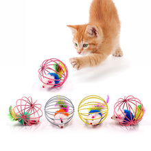 Load image into Gallery viewer, Cat Toys