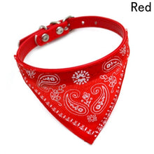 Load image into Gallery viewer, Dog&amp;Cat&amp;collars
