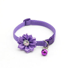 Load image into Gallery viewer, Dog&amp;Cat&amp;collars